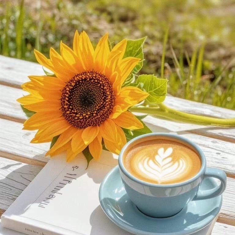 27度咖啡☕