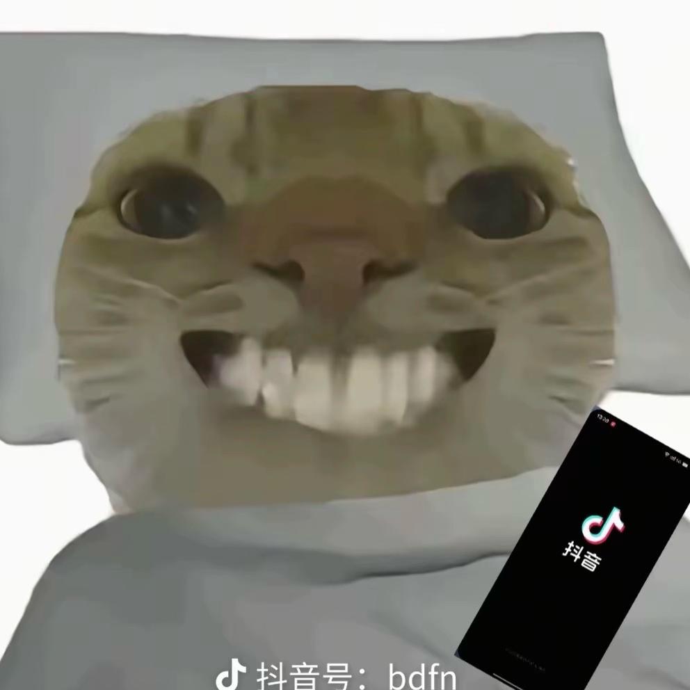 一只哈基鼠  （三角洲）