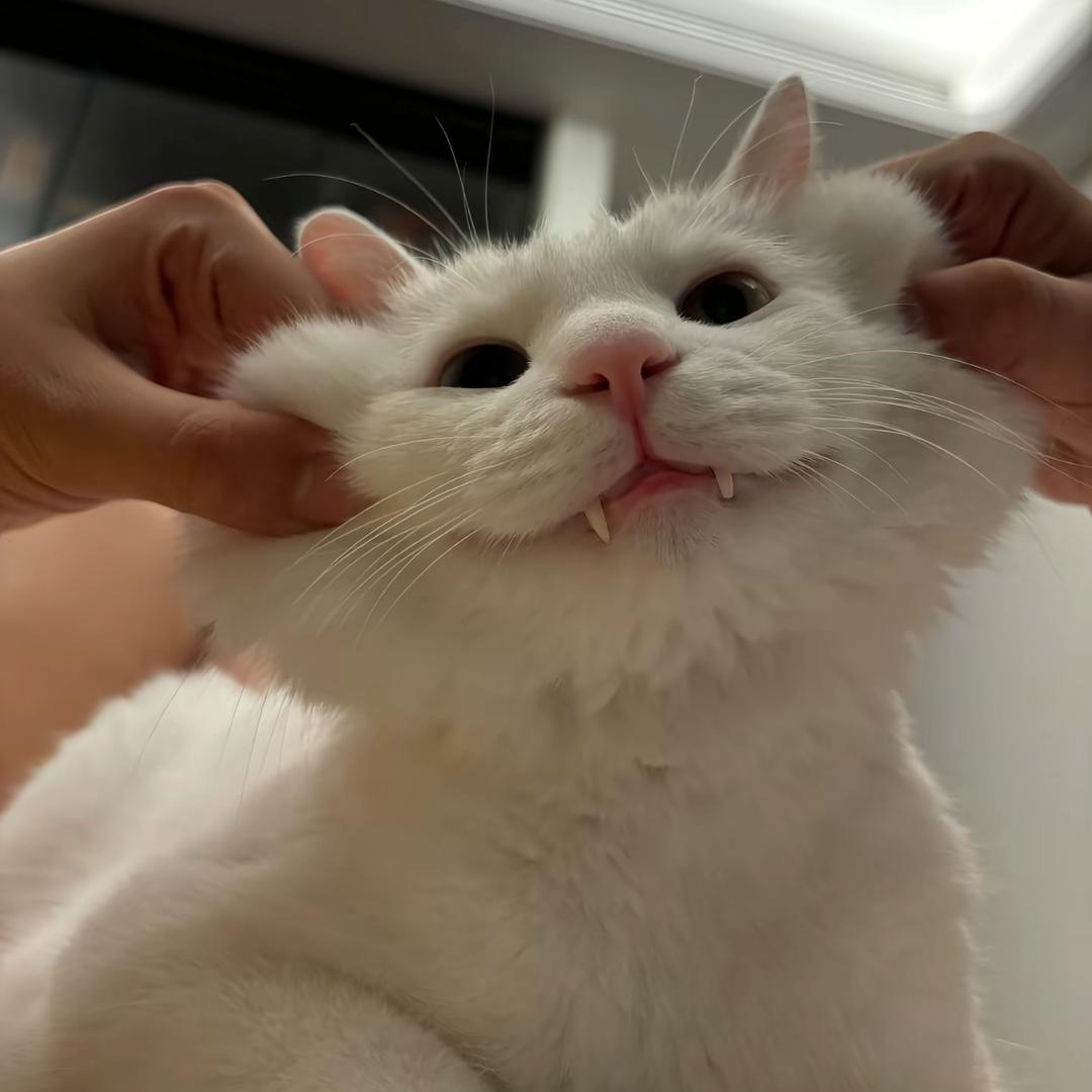 天᳐下第一玲᳐੭