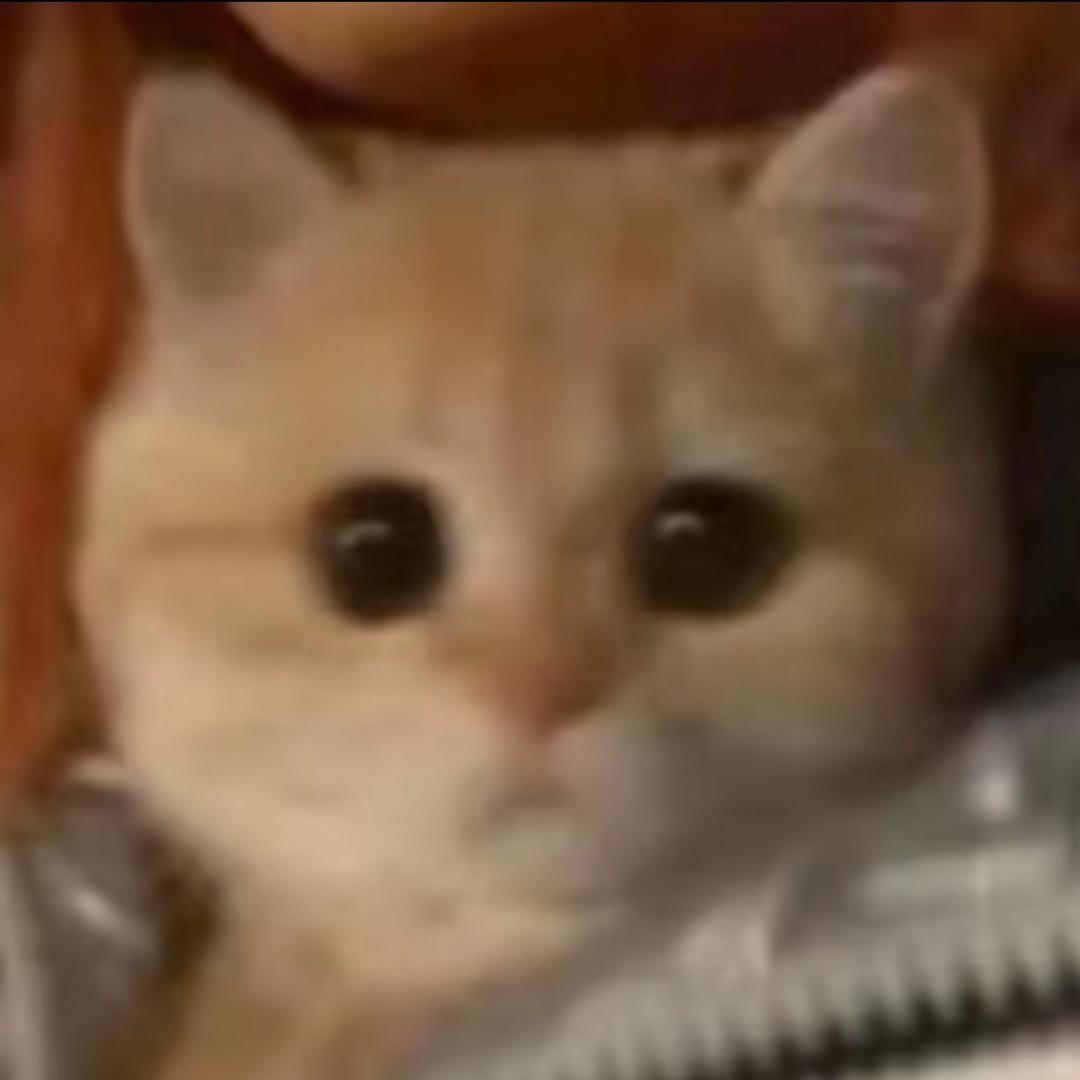 咬人猫