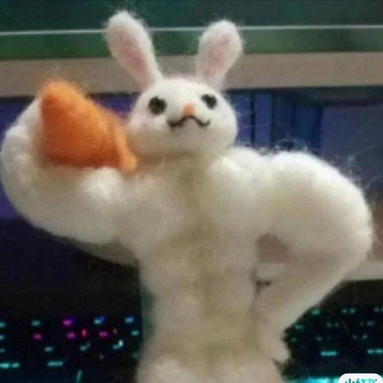 法式小可宋🥐
