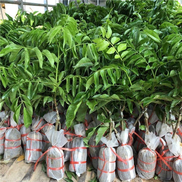 容县震林农业有限公司企业店