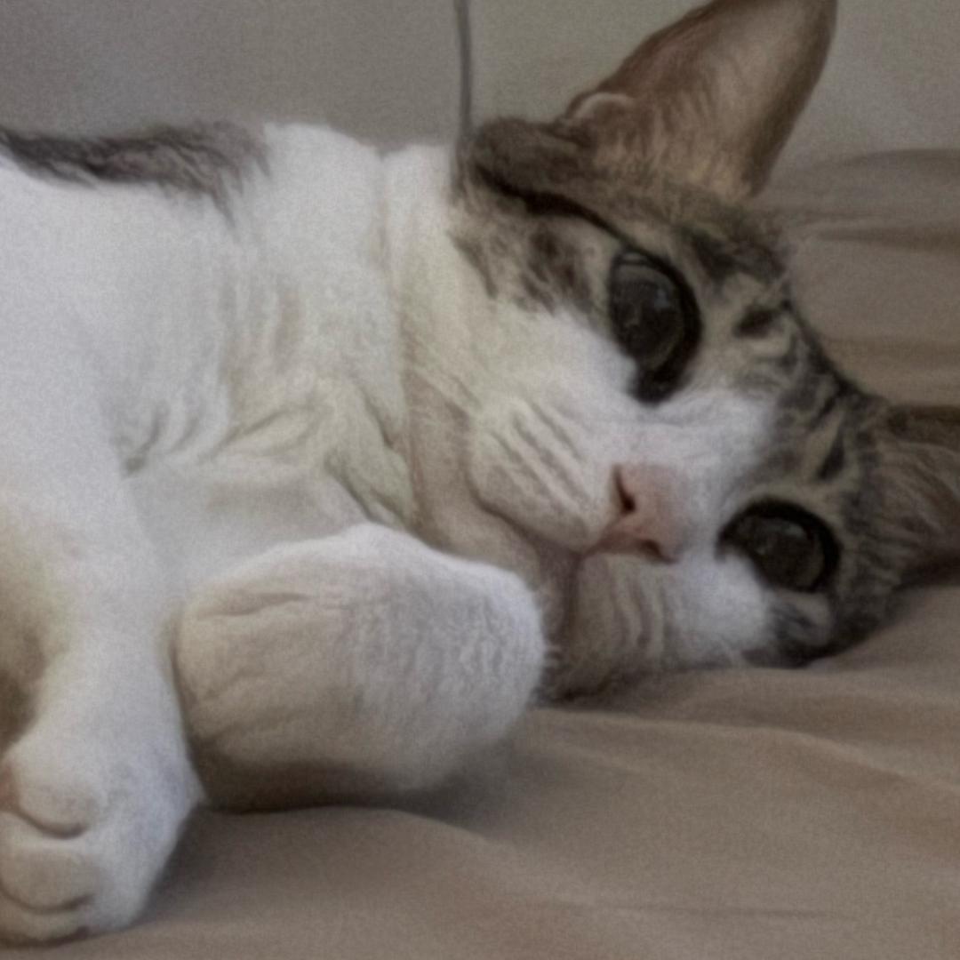 (･_･;