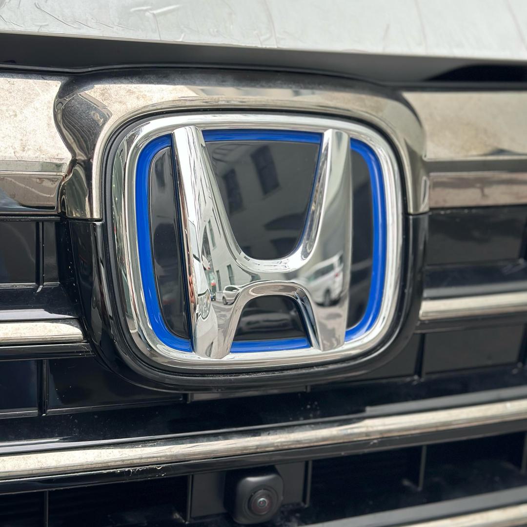 养了一条奥德赛