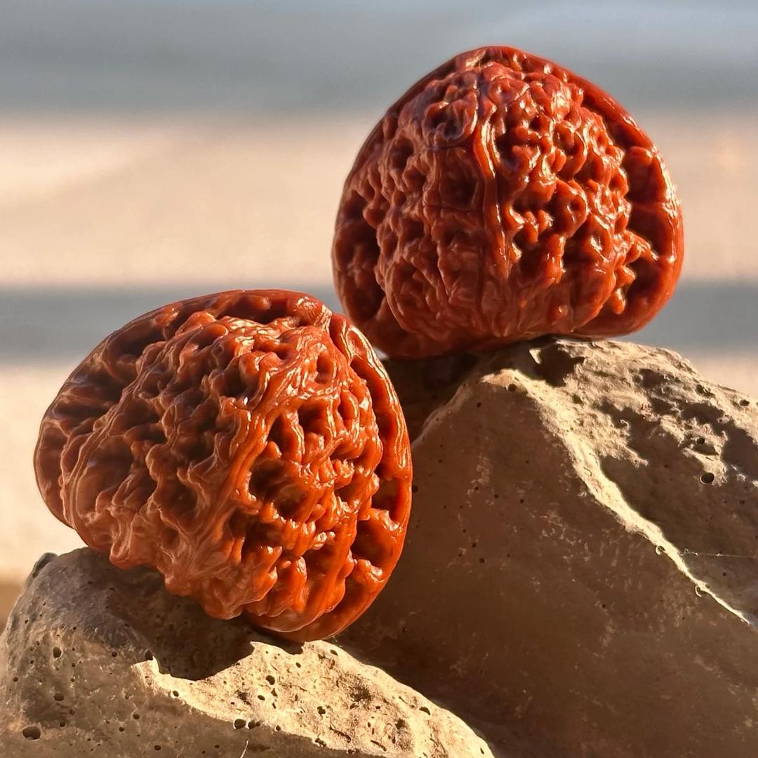 核昱堂·秦岭野生核桃