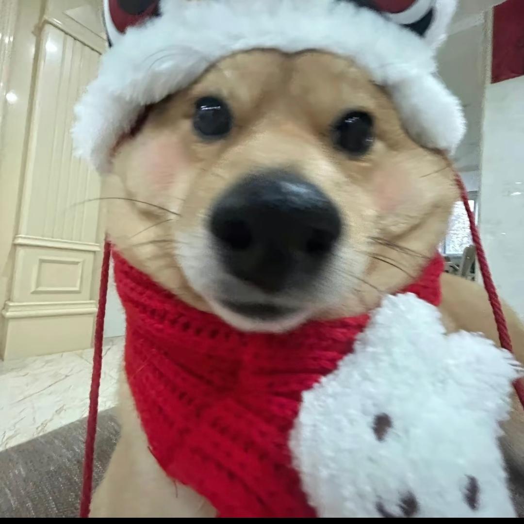 不想吃饭