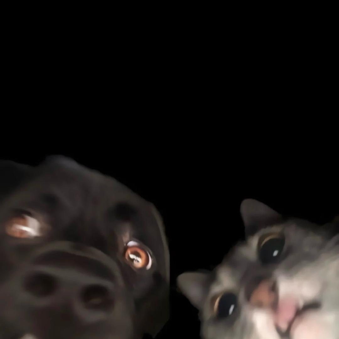 阿立