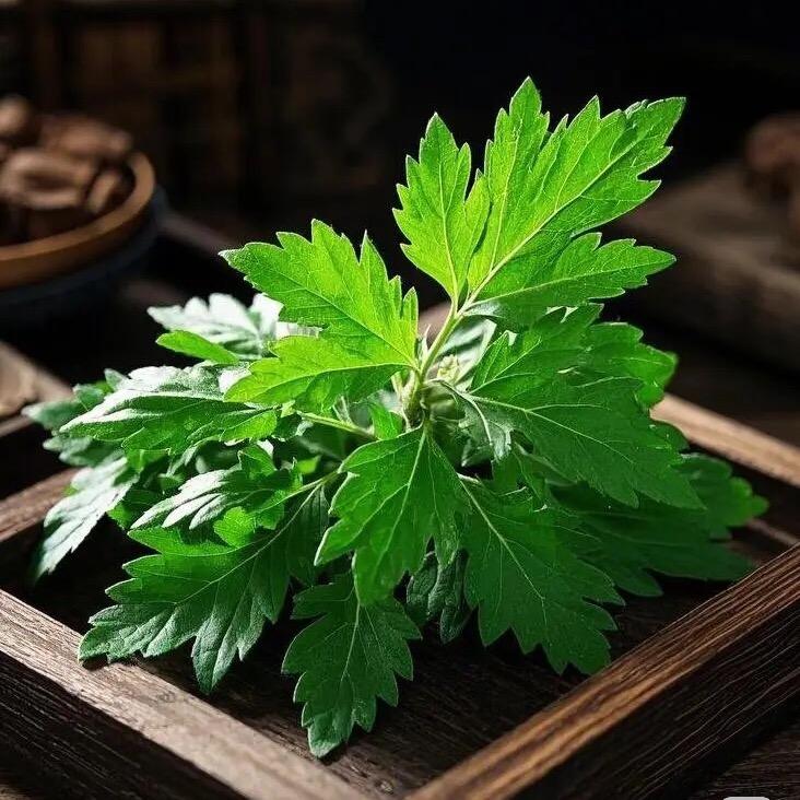 航卉李李直播号