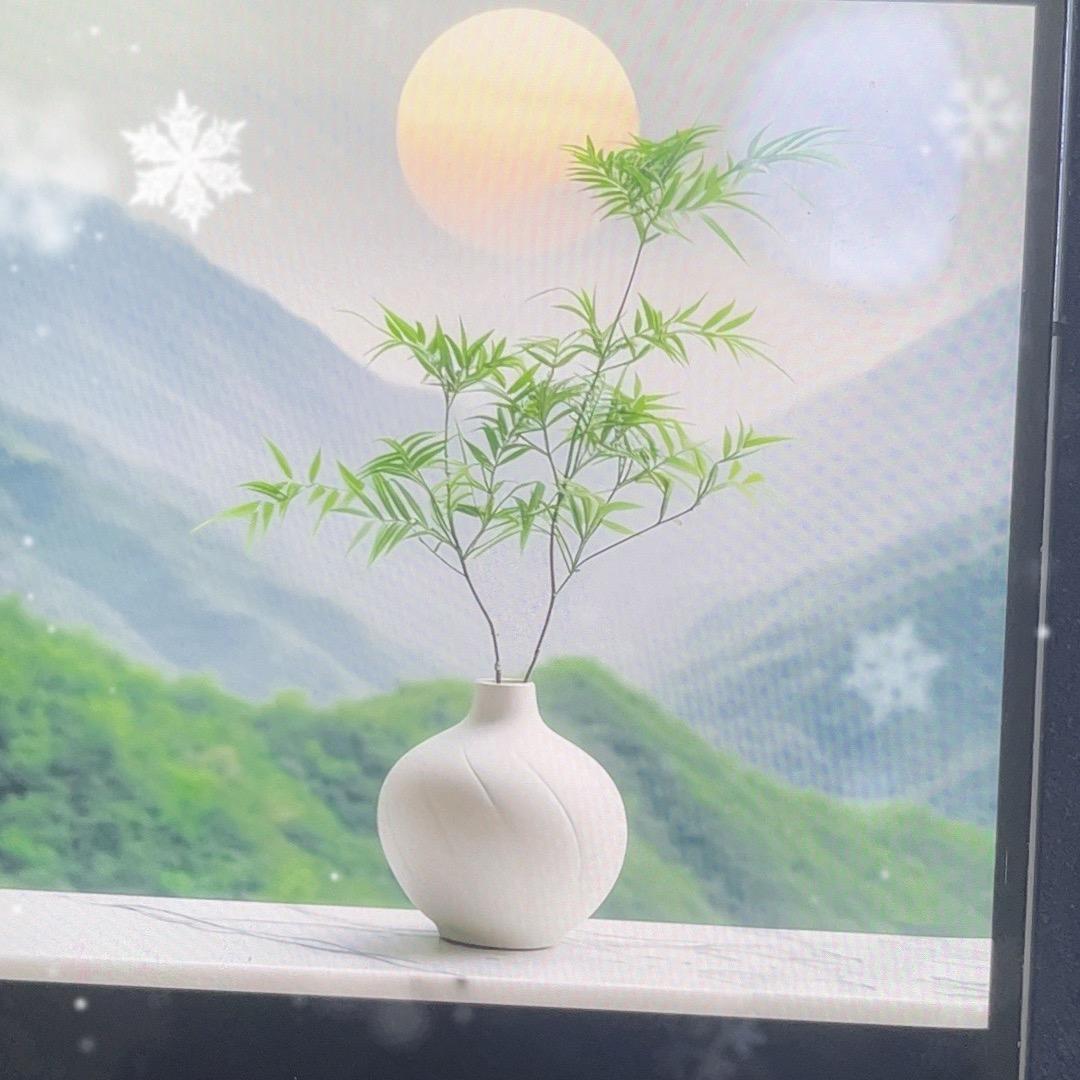 侯金江
