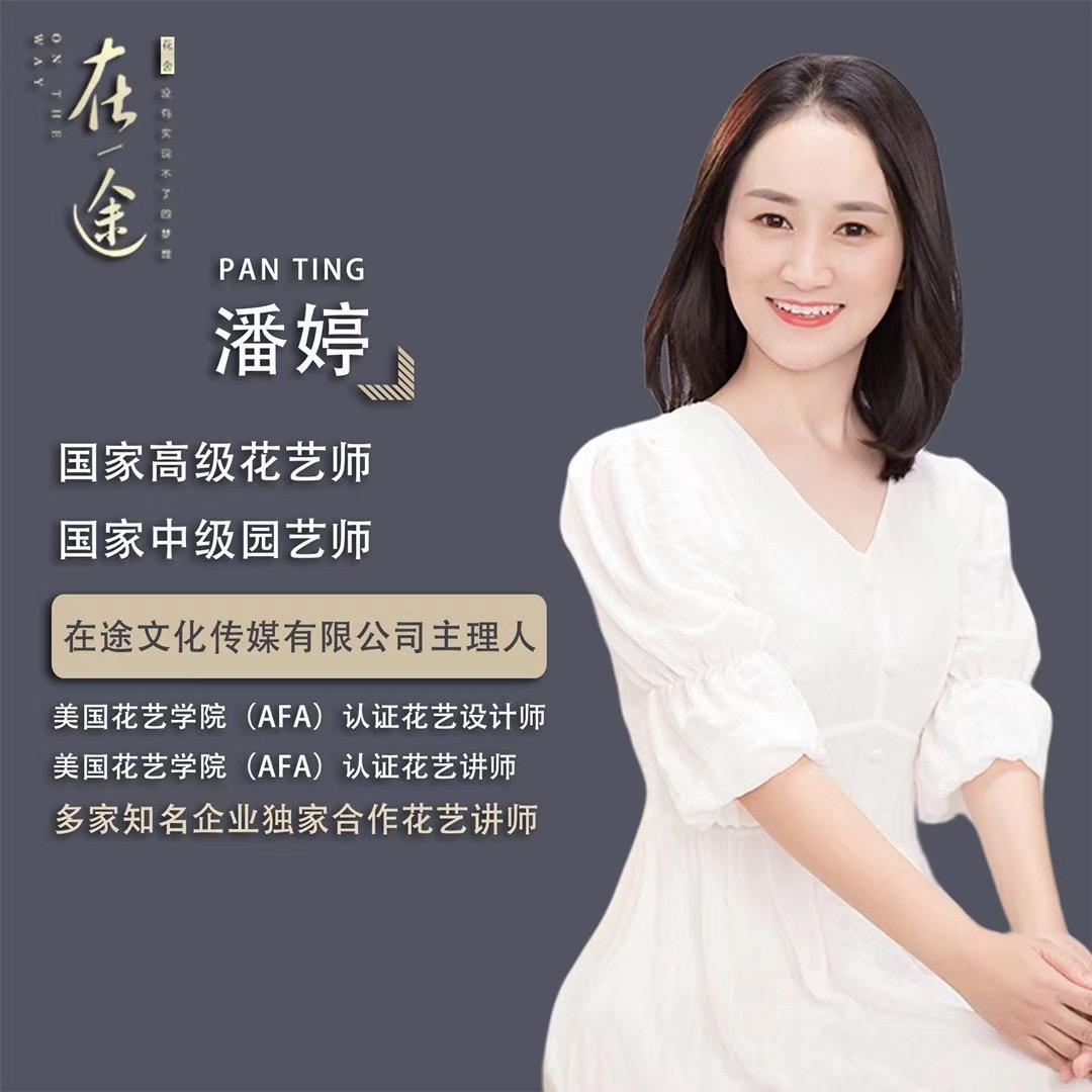 婷姑娘