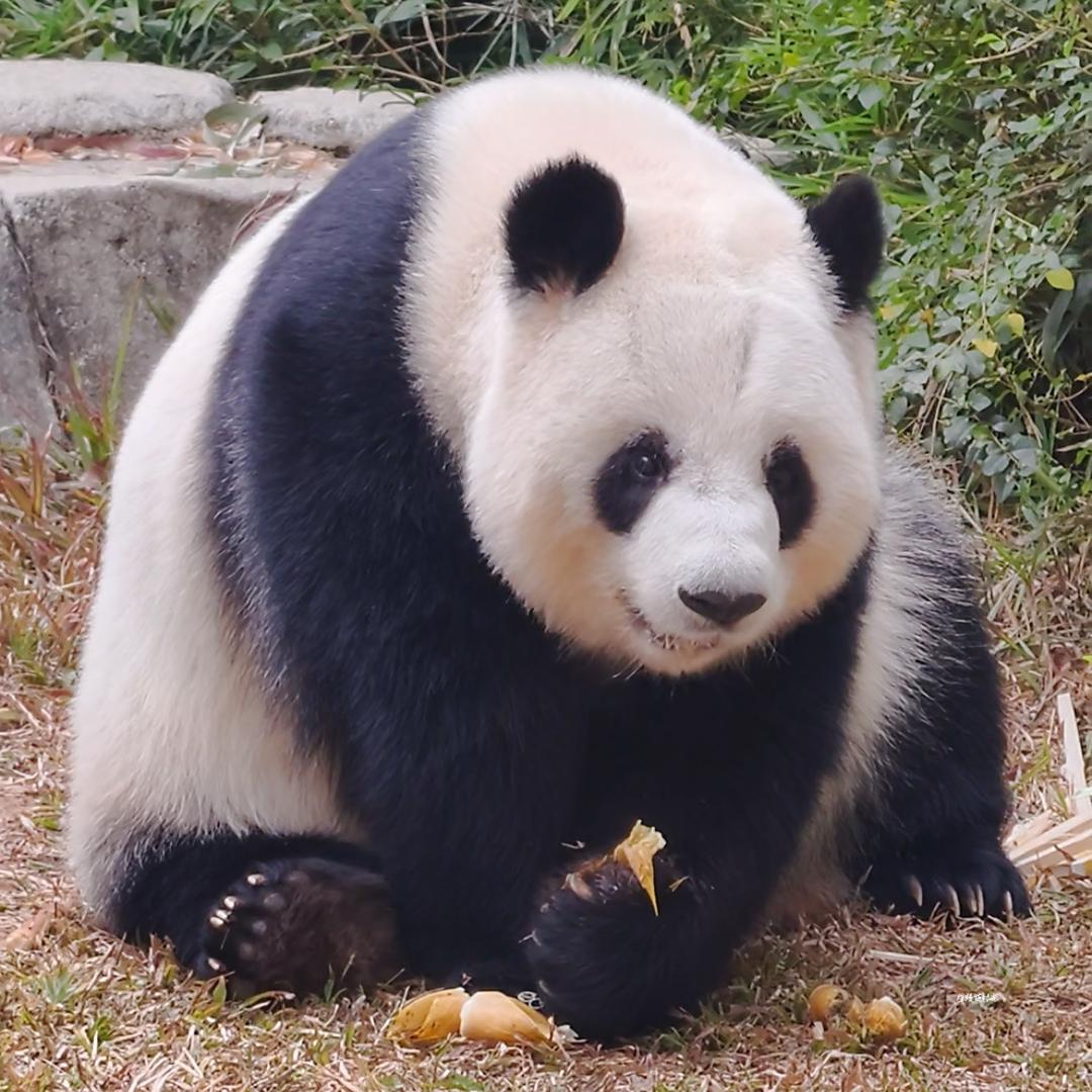 煊熳萌时光