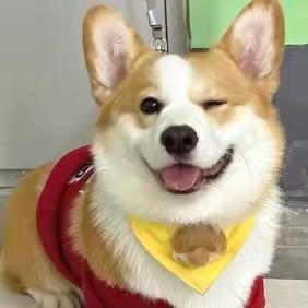 O椰