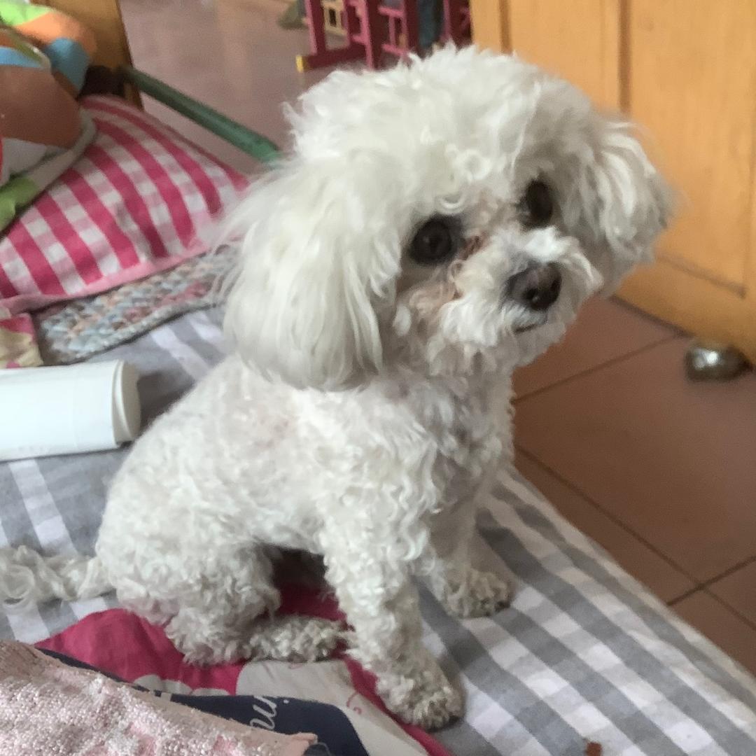 威武大气朱霸王🔥🔥