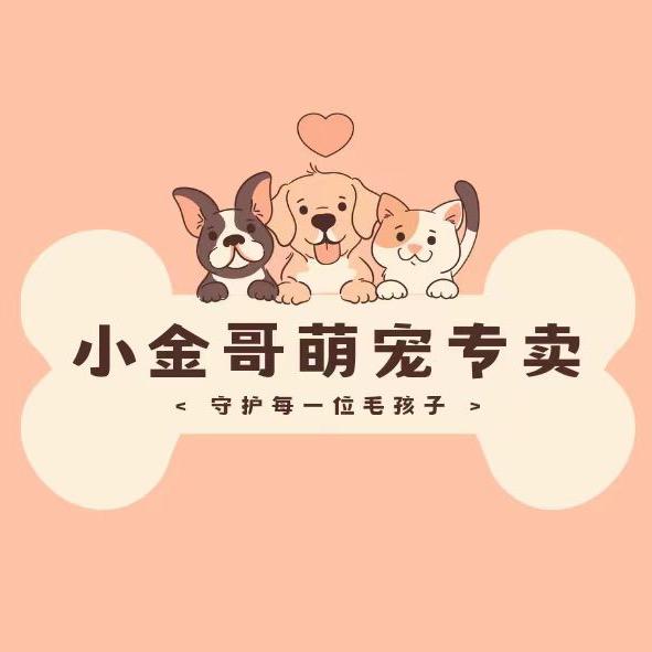 小金哥宠物