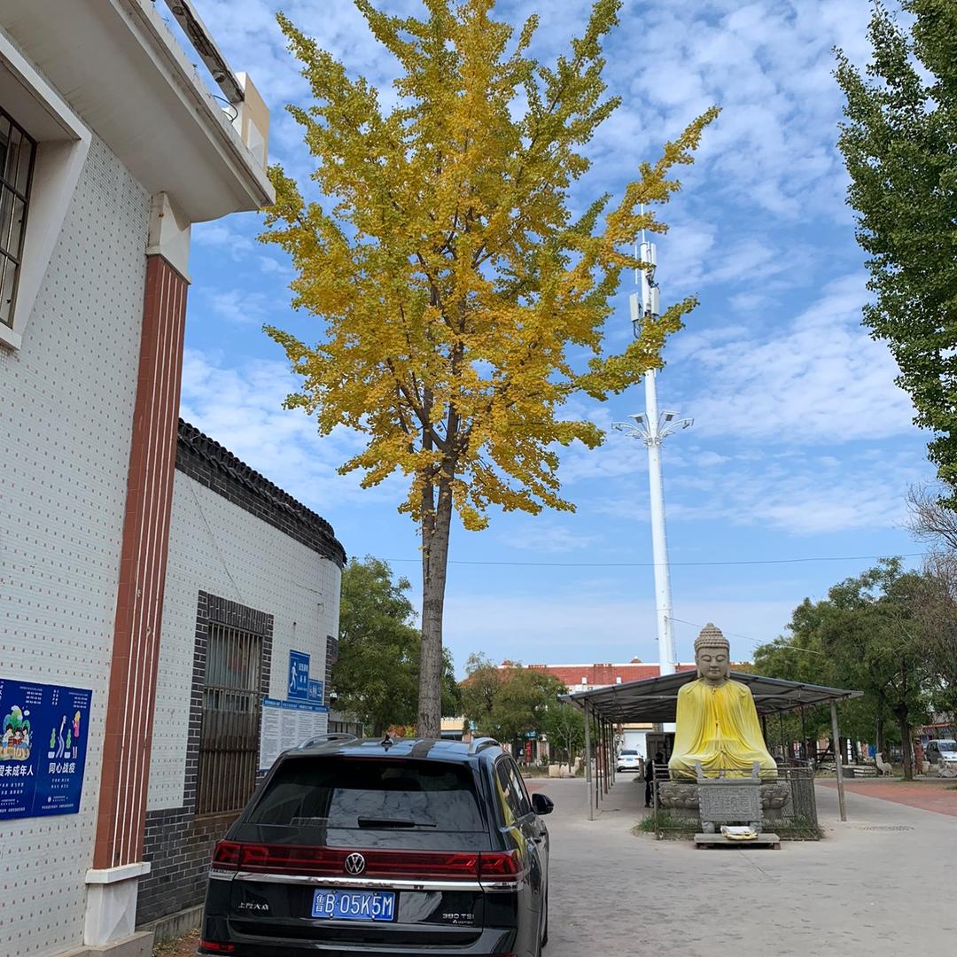 涵惠源茶业（白大师）宋一来