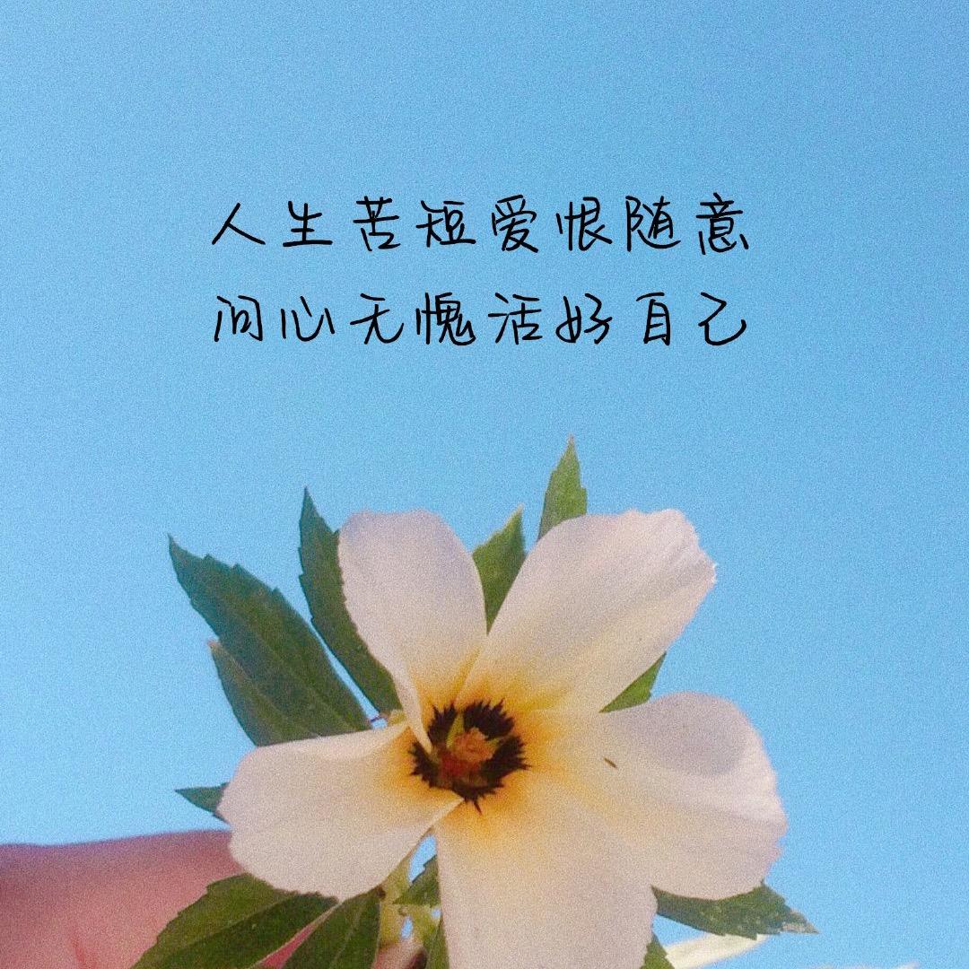 🎀焦糖不甜