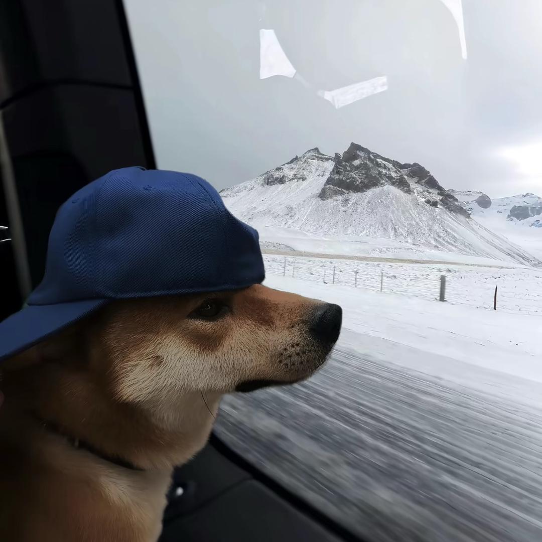 画个圈圈诅咒你