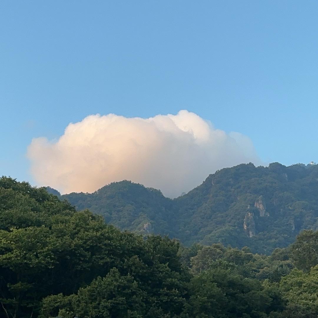 以为