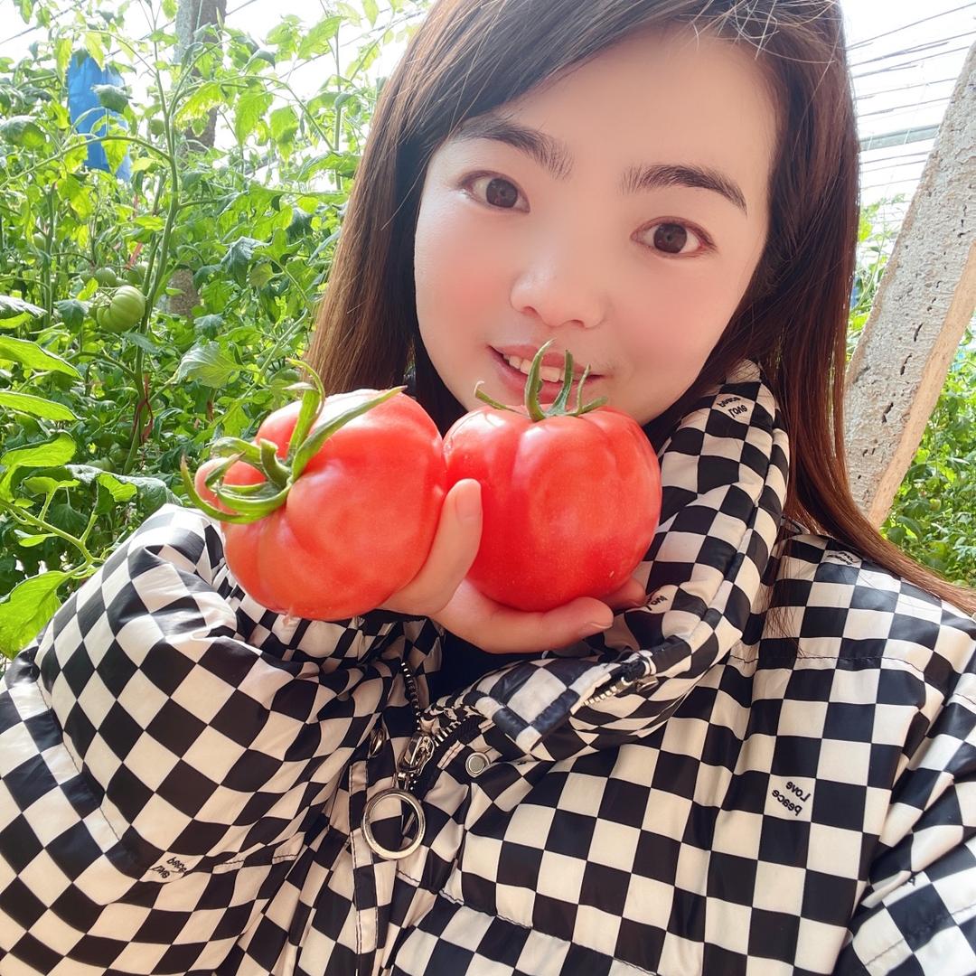 董家果蔬