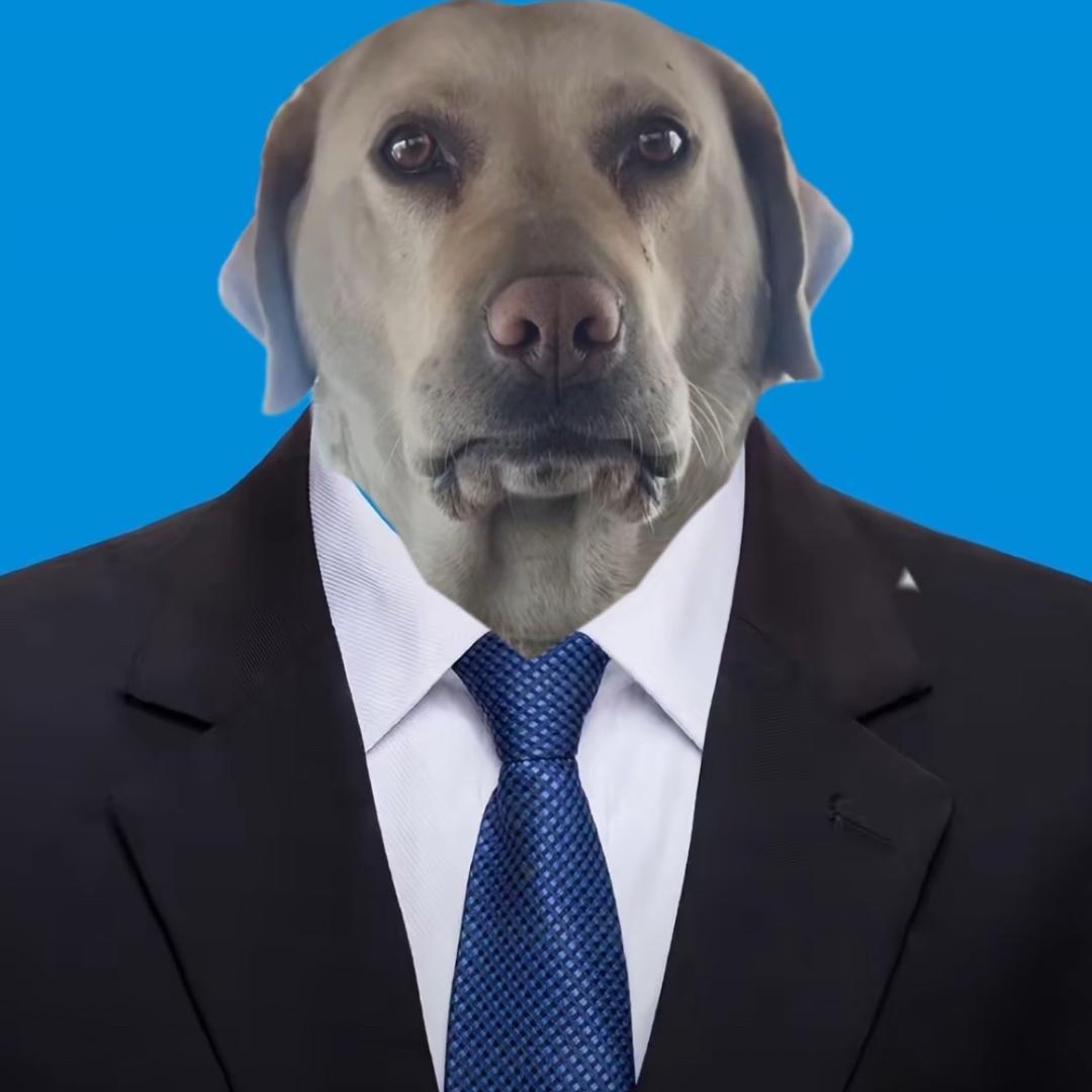 🔥传毛宝⁶⁸¹