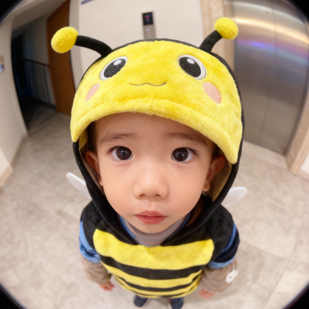 秋棠晚舟