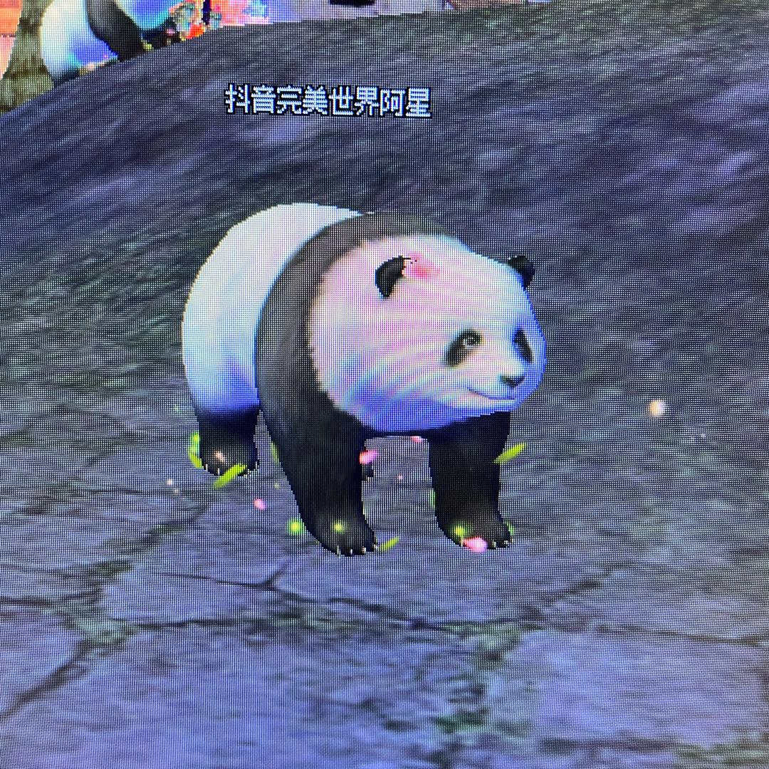 完美世界阿星