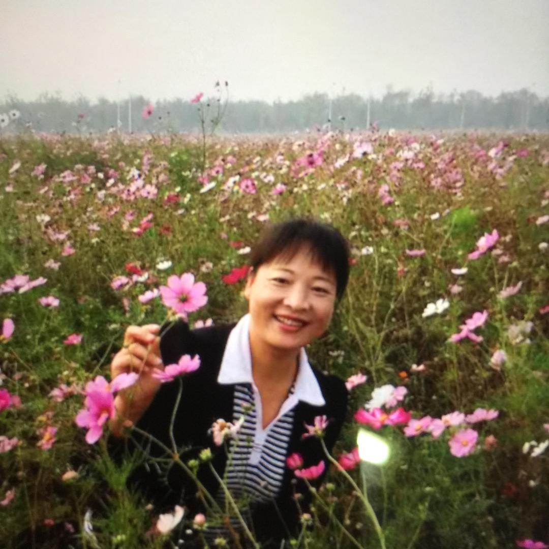 岁月静好