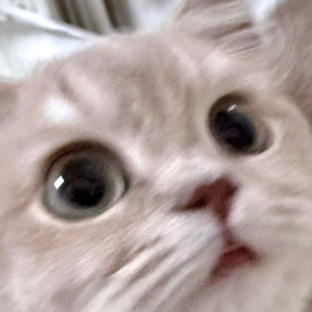 🫧