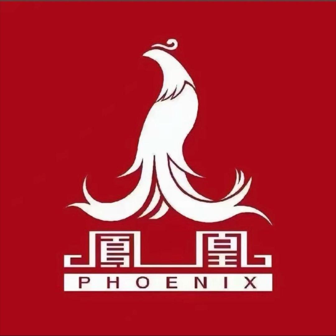 凤凰电动车工厂