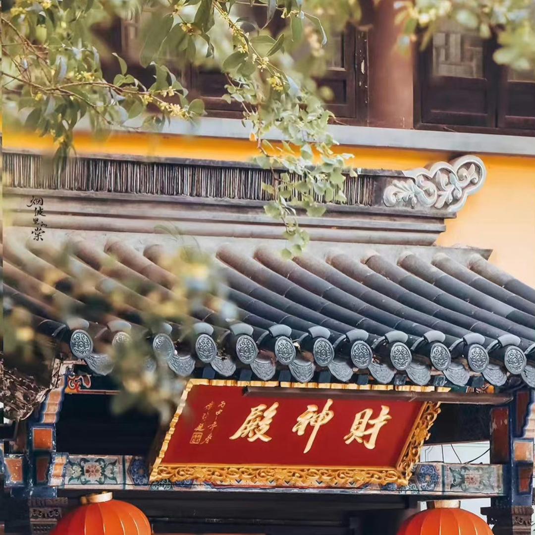 财神爷心尖尖上的晓曼