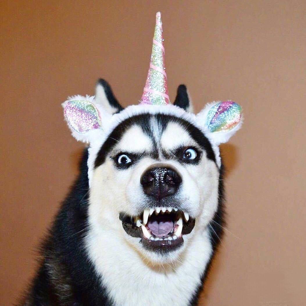 什么都没有留下