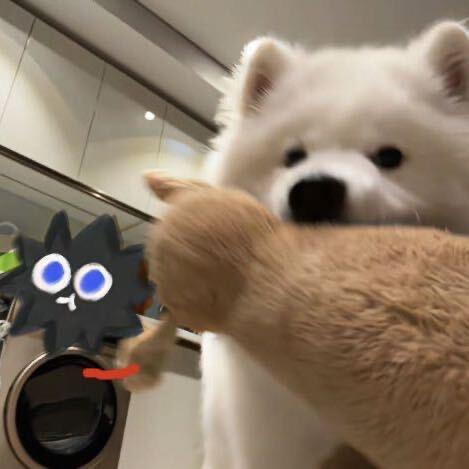 YY.