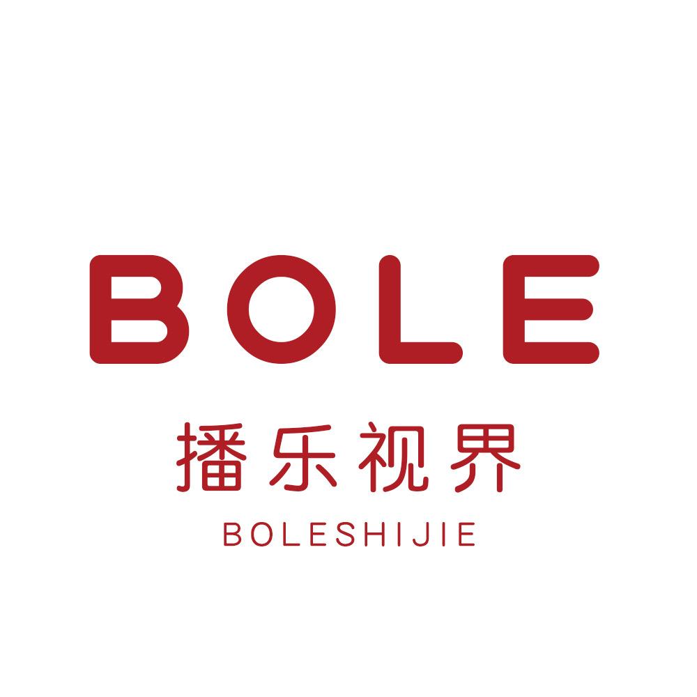 播乐视界车载用品旗舰店