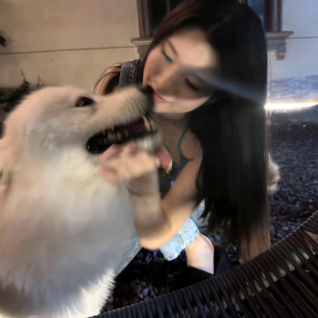 贝贝🫧_怪H