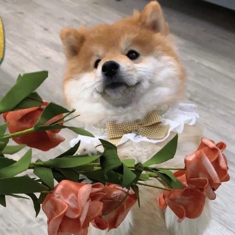 彭然心动💓