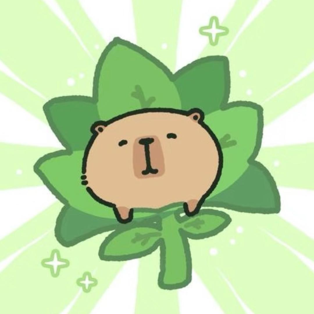 太阳花🌻
