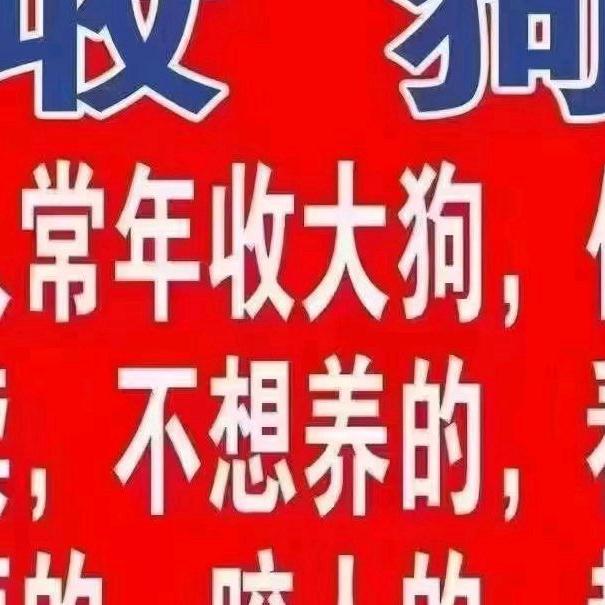 沭阳宠物狗养殖户