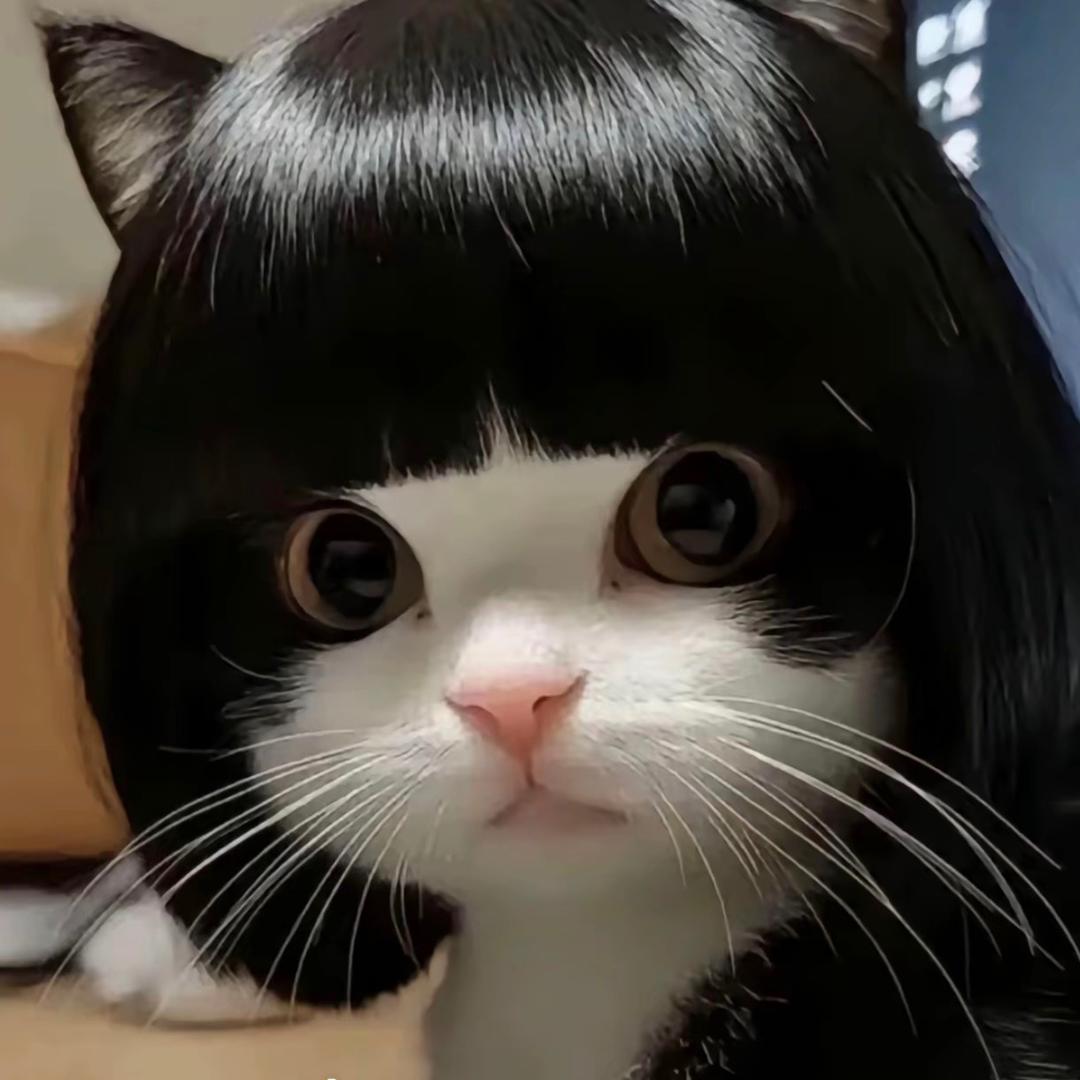 妞妞