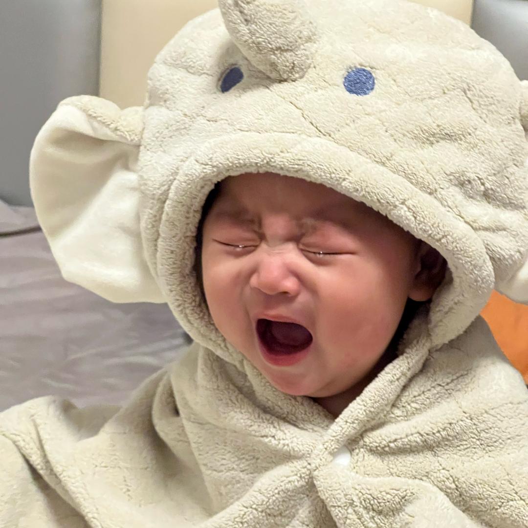 汤圆吃饱了吗🍼