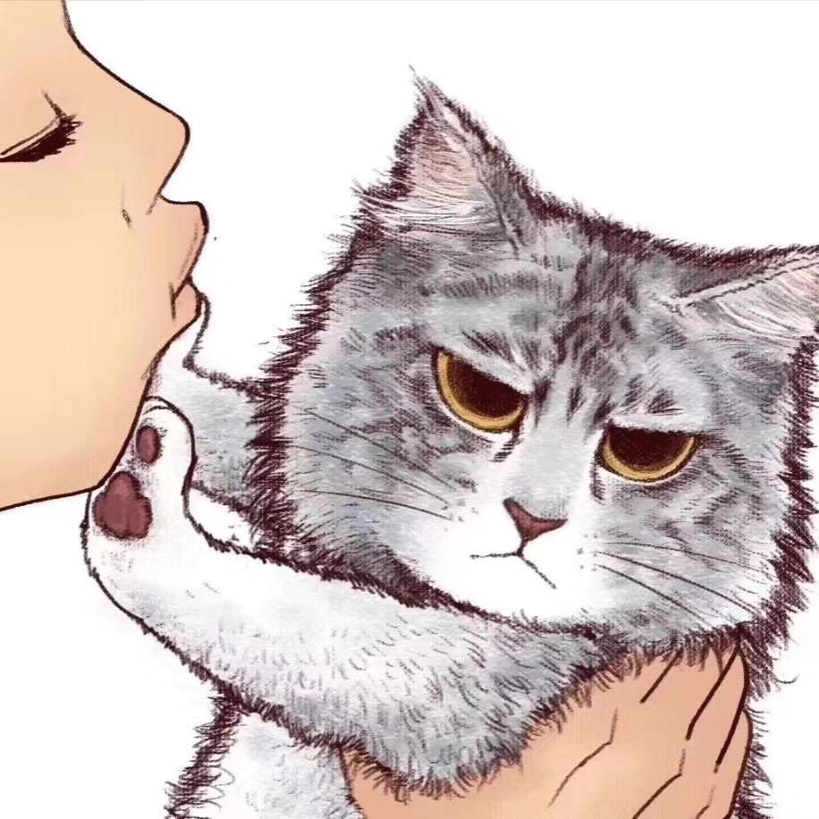 缅因猫舍CFA