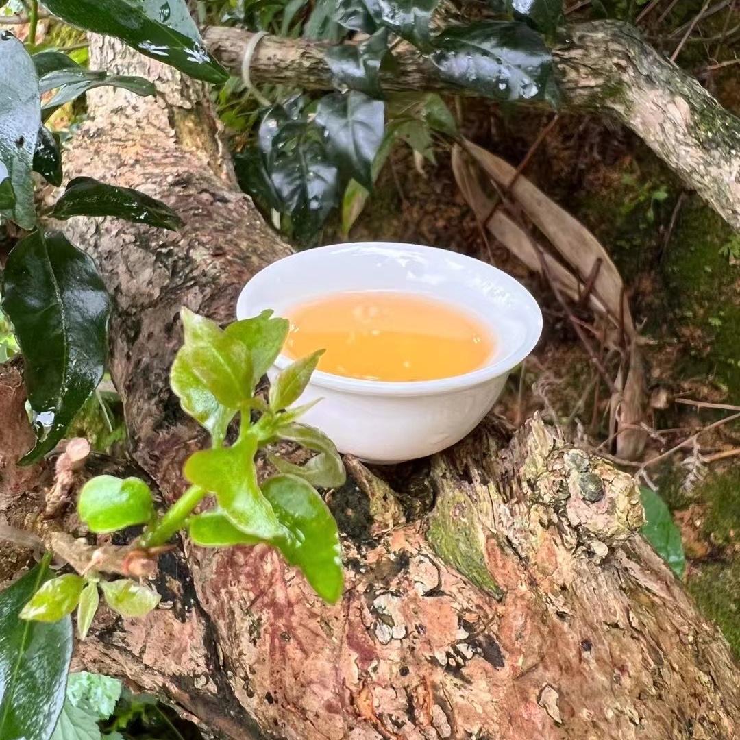 富韵香茶业
