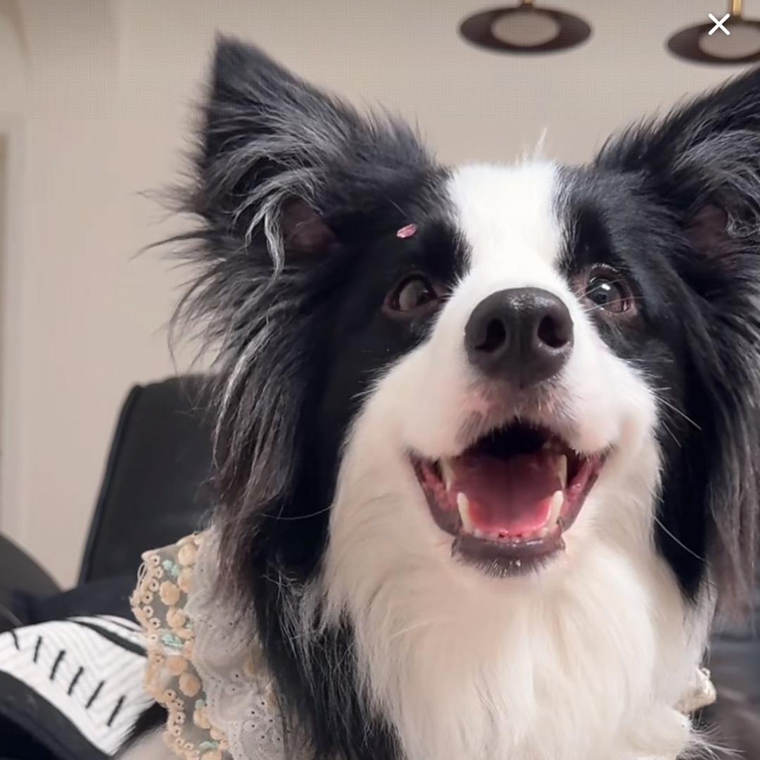 冷漠有洁癖的少爷对挑着粪担的我一见钟情