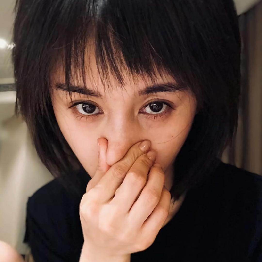 一飞冲天西文灰.