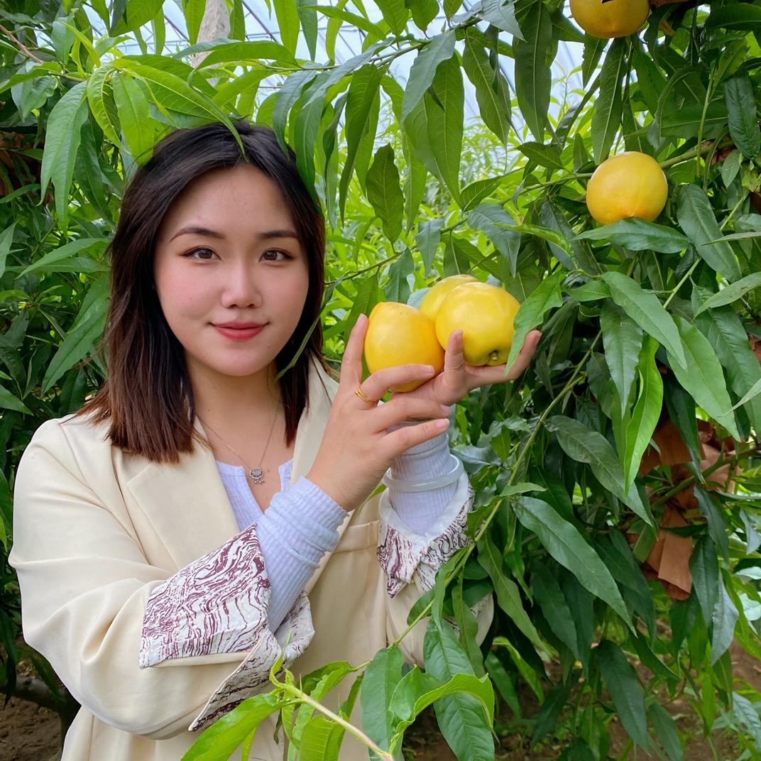 大脸猫（旅游生鲜）