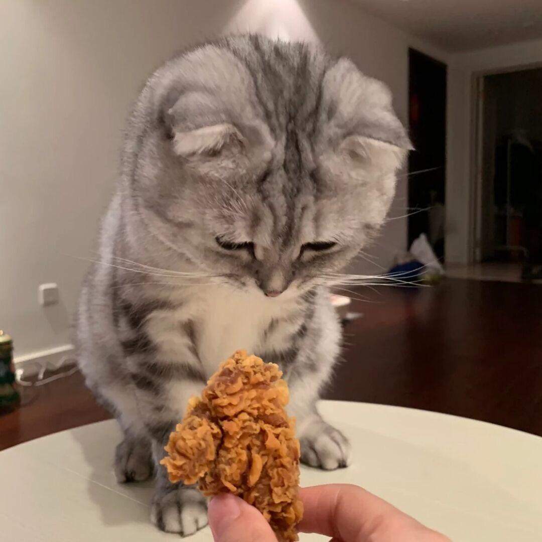 明朝勤劳的茶师