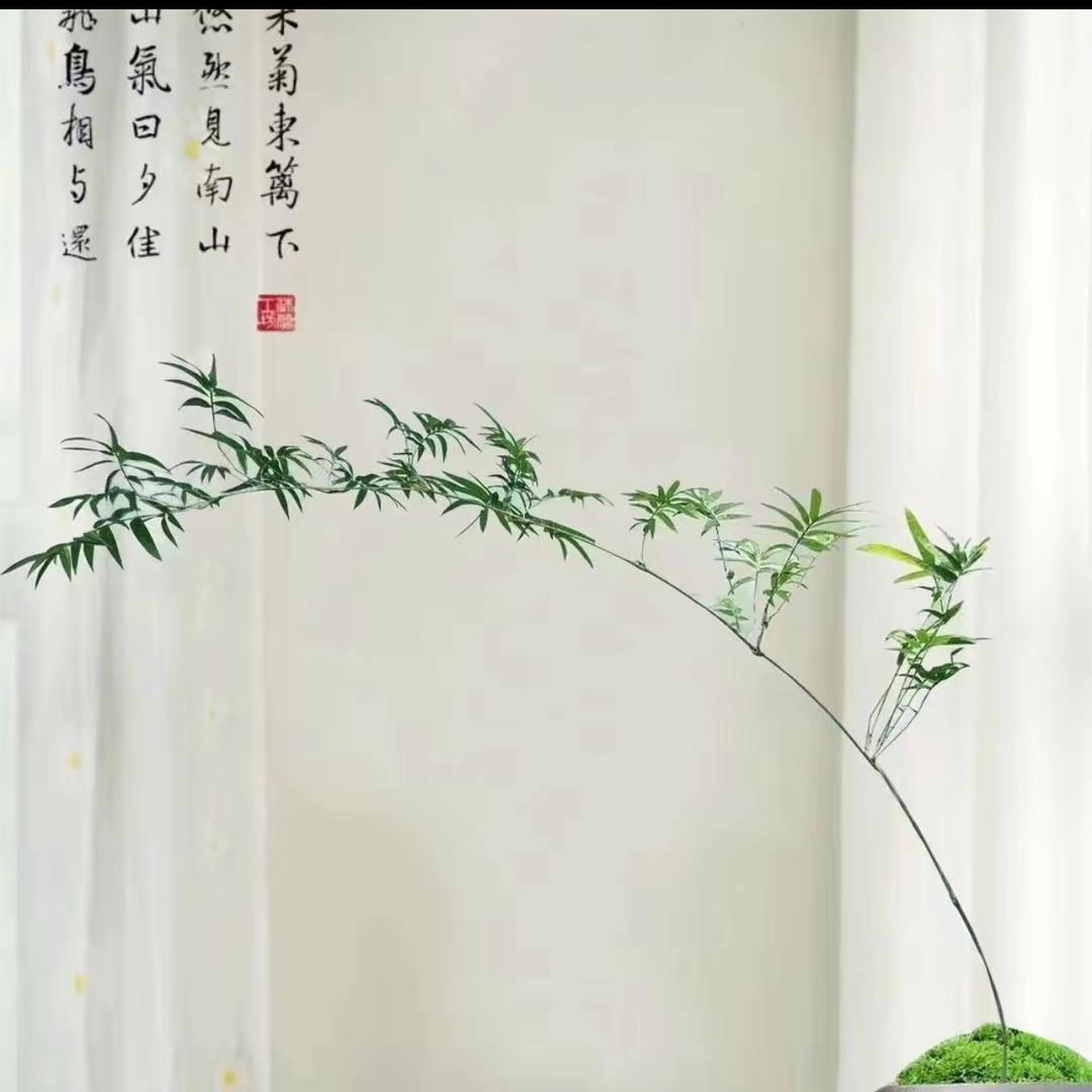 贝琪不烦恼