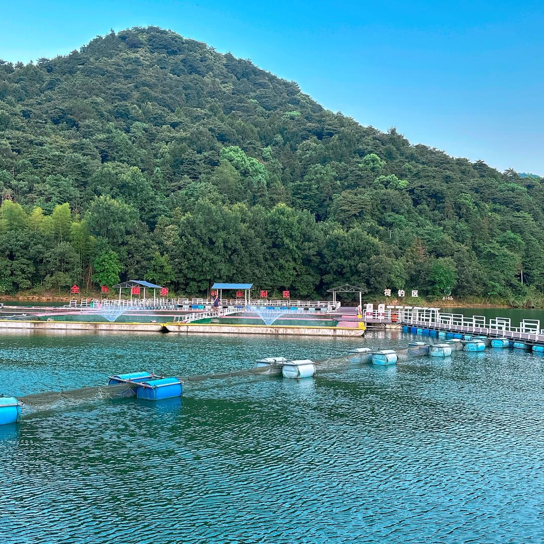 小颖家