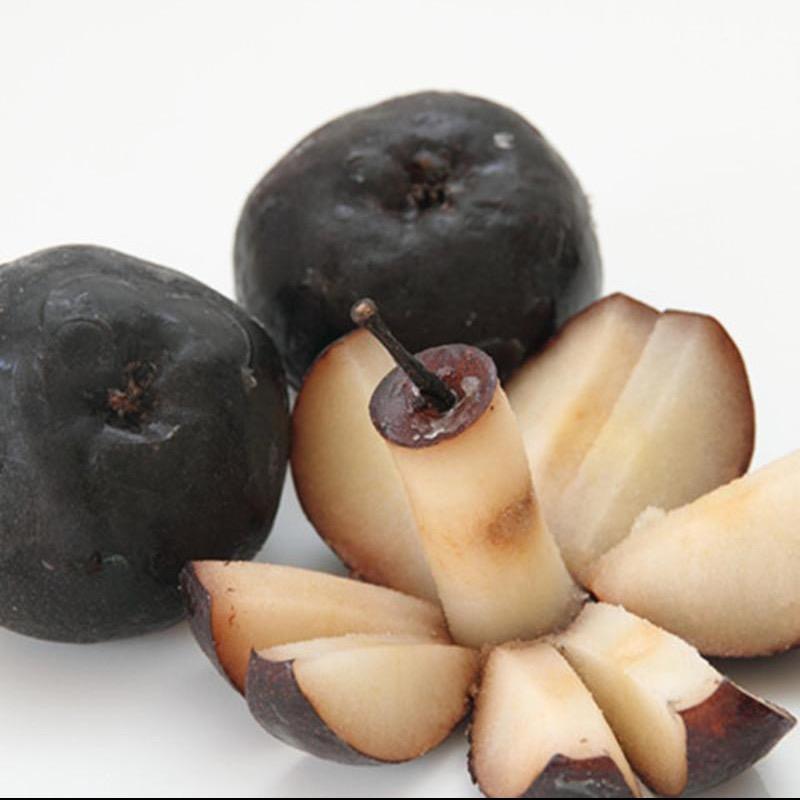 东北老铁在广西