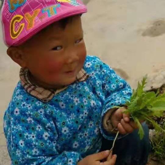 王向阳（壁挂炉暖气片）