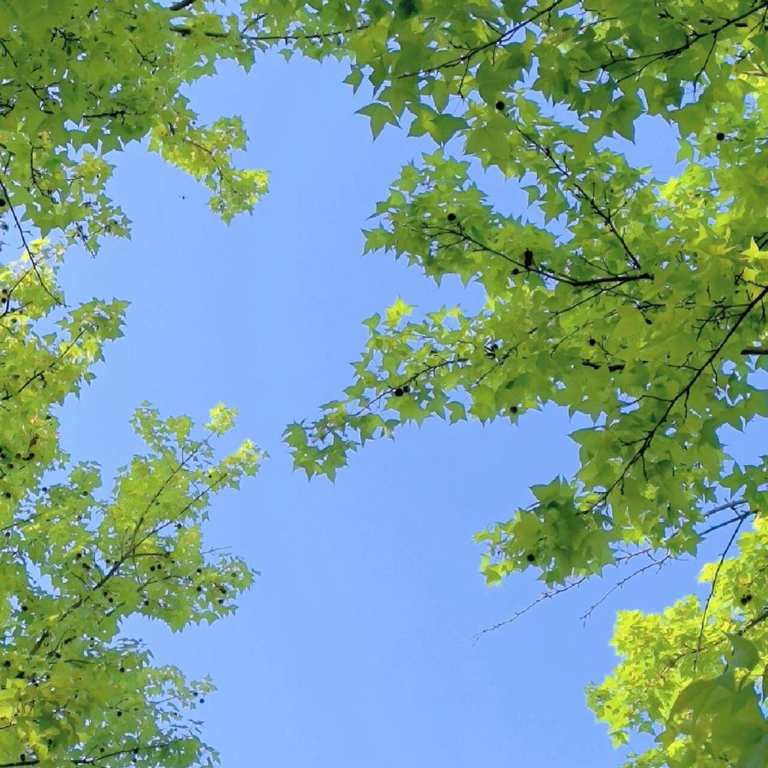 助眠直播间（教学）